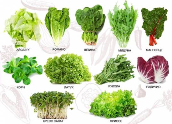 Чем полезны некрахмалистые овощи при диабете