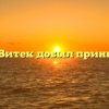 Как Витек добыл принцессу