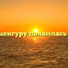 Как у кенгуру появилась сумка