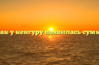 Как у кенгуру появилась сумка