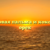 Кокосовая пальма и кокосовый орех