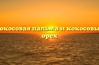 Кокосовая пальма и кокосовый орех