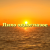 Лихо одноглазое