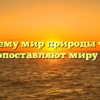 «Почему мир природы часто противопоставляют миру людей»