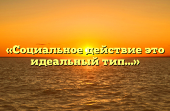 «Социальное действие это идеальный тип…»