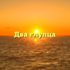 Два глупца