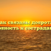 «Как связаны доброта и способность к состраданию»