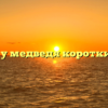 Почему у медведя короткий хвост