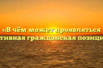 «В чём может проявляться активная гражданская позиция»