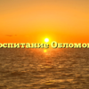 «Воспитание Обломова»