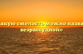«Какую смелость можно назвать безрассудной»
