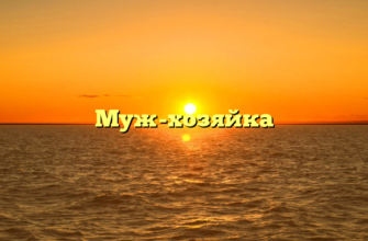 Муж-хозяйка