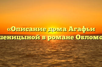 «Описание дома Агафьи Пшеницыной в романе Обломов»