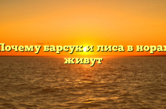 Почему барсук и лиса в норах живут