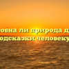 «Способна ли природа давать подсказки человеку»