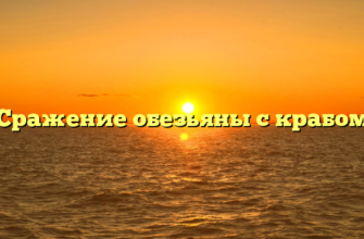 Сражение обезьяны с крабом