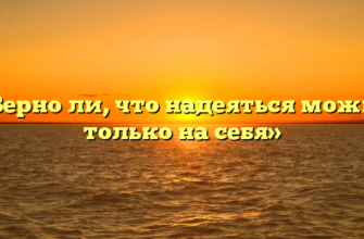 «Верно ли, что надеяться можно только на себя»