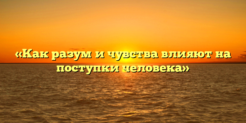«Как разум и чувства влияют на поступки человека»