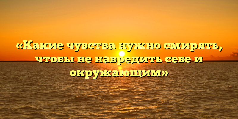 «Какие чувства нужно смирять, чтобы не навредить себе и окружающим»