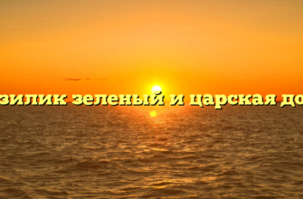 Базилик зеленый и царская дочь