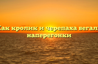 Как кролик и черепаха бегали наперегонки