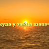 Откуда у зайца шапочка
