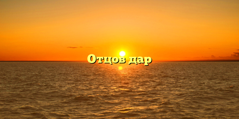 Отцов дар