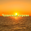 Чудесное дерево