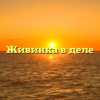 Живинка в деле