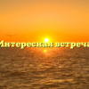 «Интересная встреча»