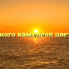 Какого хамелеон цвета?
