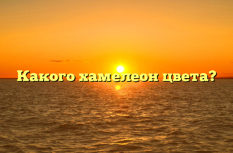 Какого хамелеон цвета?