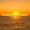 Кошка домовой