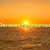 Овсяная лепешечка