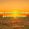 Почему племена говорят на разных языках