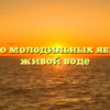 Сказка о молодильных яблоках и живой воде