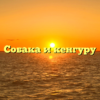 Собака и кенгуру
