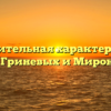 «Сравнительная характеристика семей Гриневых и Мироновых»