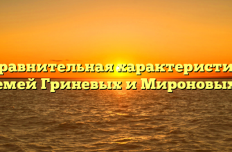 «Сравнительная характеристика семей Гриневых и Мироновых»